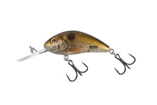 Salmo Rattlin Hornet Floating 3.5cm